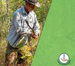 Prendre en compte les enjeux climatiques dans un projet de préservation des forêts ou de restauration d’écosystèmes forestiers