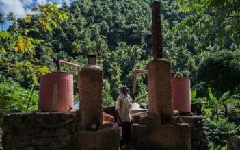 Allier écologie, économie et emploi: la filière huile essentielle d’Ylang Ylang aux Comores, une solution ?