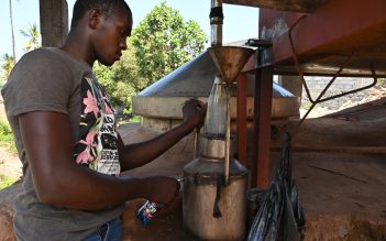 Foyer de distillation d’huile essentielle d’Ylang-Ylang à haute performance énergétique – Une première aux Comores !