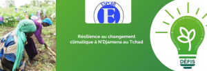 Résilience au changement climatique à N’Djamena au Tchad
