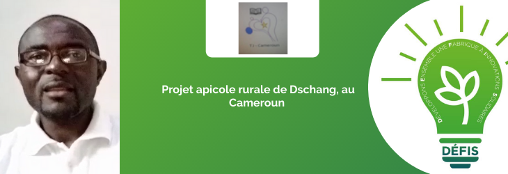 TJ-Cameroun: Projet Apicole rurale de Dschang au Cameroun