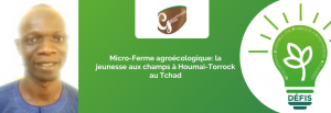 Micro-Ferme agroécologique: la jeunesse aux champs à Houmai -Torrock au Tchad