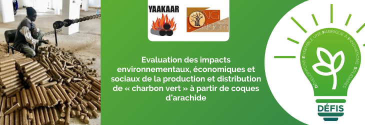 Évaluation des impacts environnementaux, économiques et sociaux de la production et distribution de « charbon vert » à partir de coques d’arachide